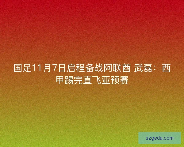 国足11月7日启程备战阿联酋 武磊：西甲踢完直飞亚预赛